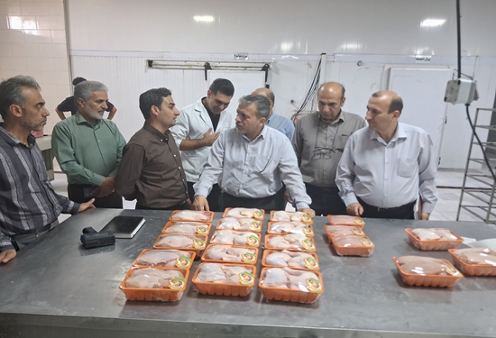 بازدید از شرکت قطعه بندی 